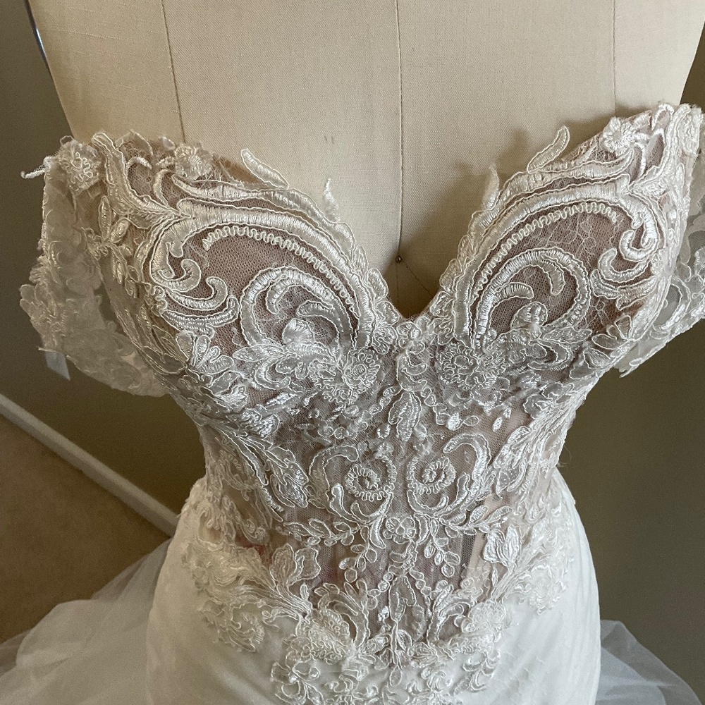 Sophia Tolli Y21980